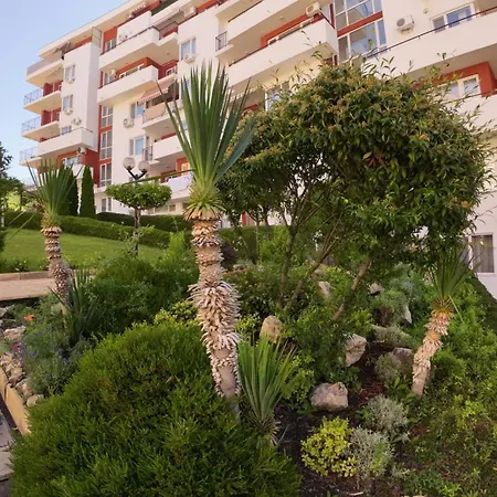 William's - Sixth Large