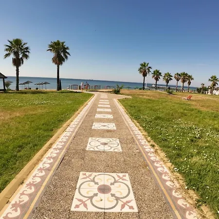 William's - Sixth Large Sveti Vlas