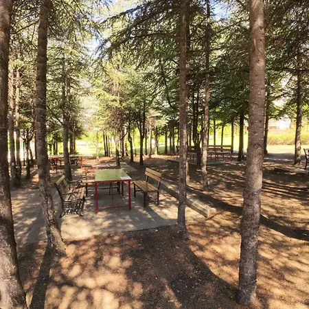 William's - Sixth Large *