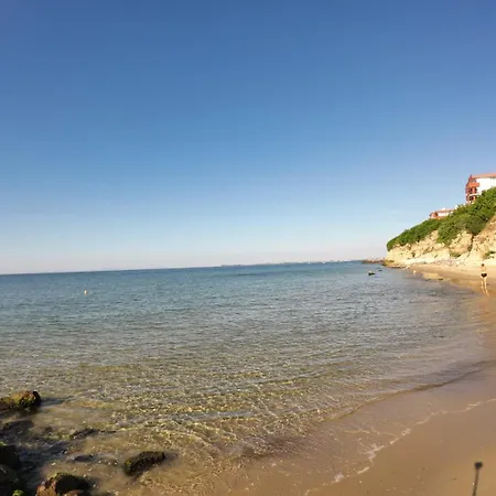 William's - Sixth Large