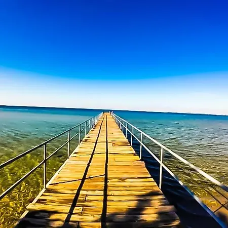 William's - Sixth Large سفيتي فلاس