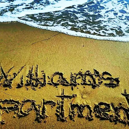 William's - Sixth Large