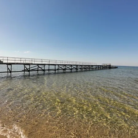 Διαμέρισμα William's - Sixth Large Sveti Vlas