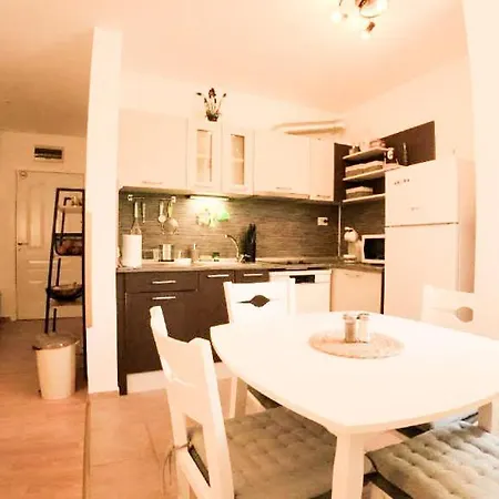 William's - Sixth Large * 스베티 블라스