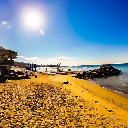 William's - Sixth Large