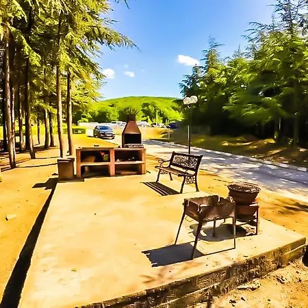 William's - Sixth Large 스베티 블라스